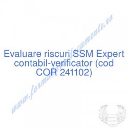 Expert contabil-verificator...