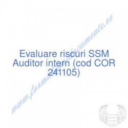 Auditor intern (cod COR...