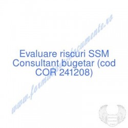 Consultant bugetar (cod COR...