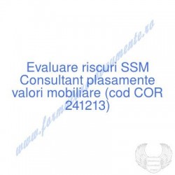 Consultant plasamente...