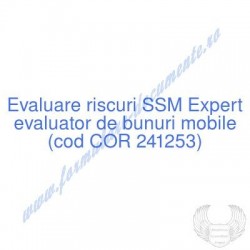 Expert evaluator de bunuri...