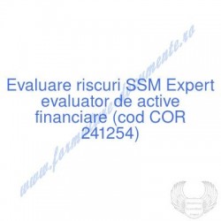 Expert evaluator de active...