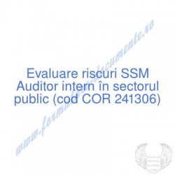 Auditor intern în sectorul...