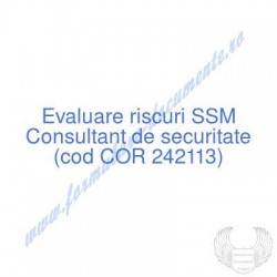 Consultant de securitate...