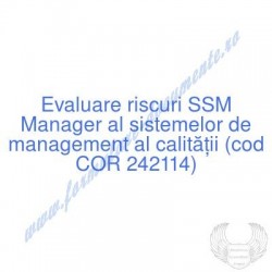 Manager al sistemelor de...