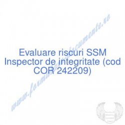 Inspector de integritate...