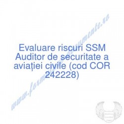 Auditor de securitate a...