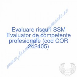 Evaluator de competenţe...