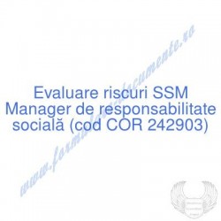 Manager de responsabilitate...