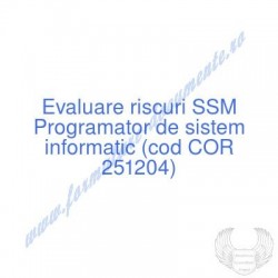 Programator de sistem...