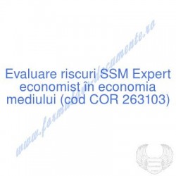 Expert economist în...