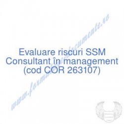 Consultant în management...