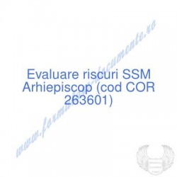 Arhiepiscop (cod COR...