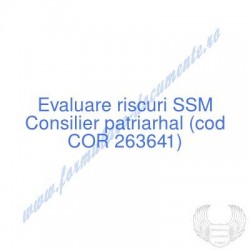 Consilier patriarhal (cod...