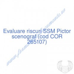 Pictor scenograf (cod COR...