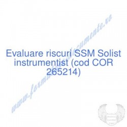 Solist instrumentist (cod...