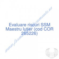 Maestru lutier (cod COR...