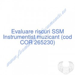 Instrumentist muzicant (cod...