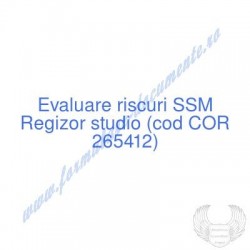 Regizor studio (cod COR...