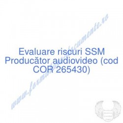 Producător audiovideo (cod...