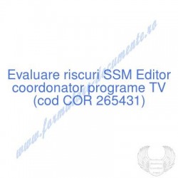 Editor coordonator programe...