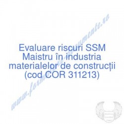 Maistru în industria...