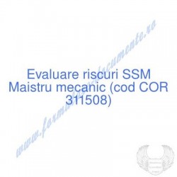 Maistru mecanic (cod COR...