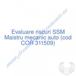 Maistru mecanic auto (cod...