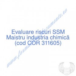 Maistru industria chimică...