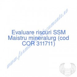 Maistru mineralurg (cod COR...