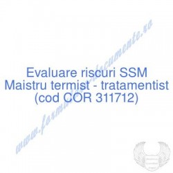 Maistru termist -...