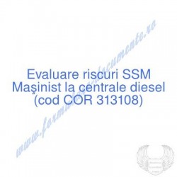 Maşinist la centrale diesel...