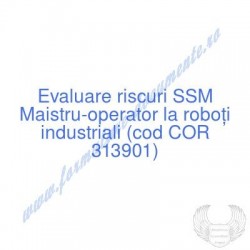 Maistru-operator la roboţi...