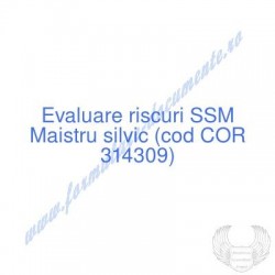 Maistru silvic (cod COR...