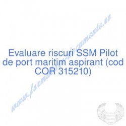 Pilot de port maritim...