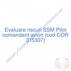 Pilot comandant avion (cod...