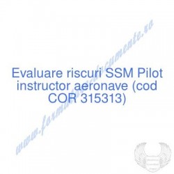 Pilot instructor aeronave...