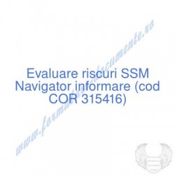 Navigator informare (cod...