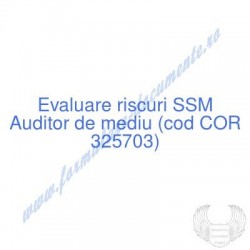 Auditor de mediu (cod COR...