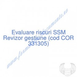 Revizor gestiune (cod COR...