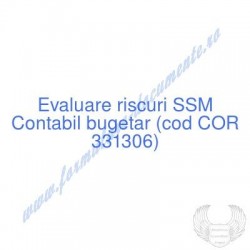 Contabil bugetar (cod COR...