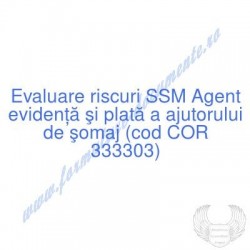 Agent evidenţă şi plată a...