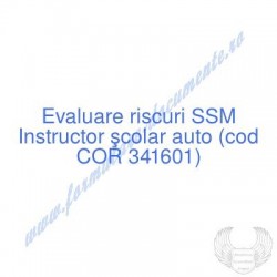 Instructor şcolar auto (cod...