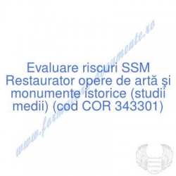 Restaurator opere de artă...