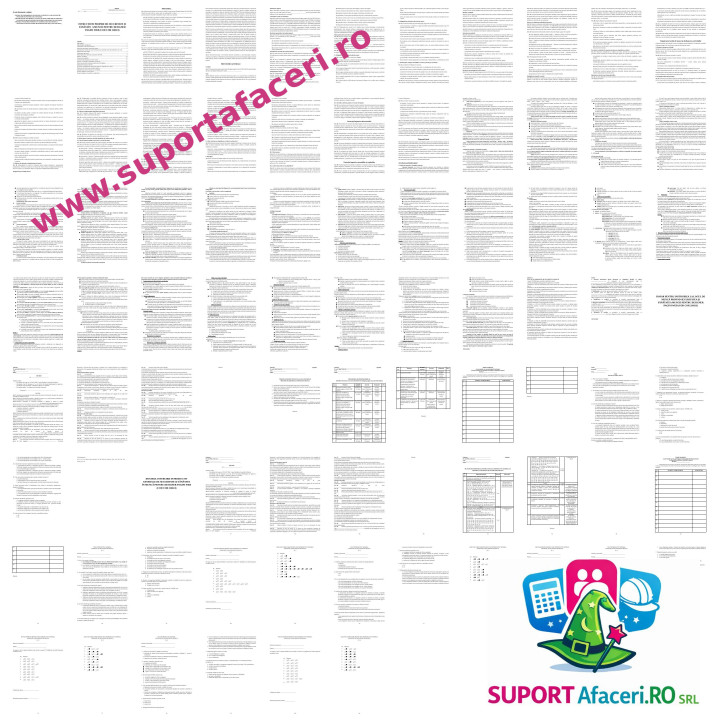 Instrucțiuni proprii SSM Designer pagini web (studii medii) – model editabil DOC