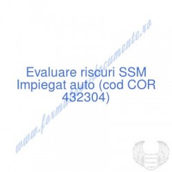 Impiegat auto (cod COR...